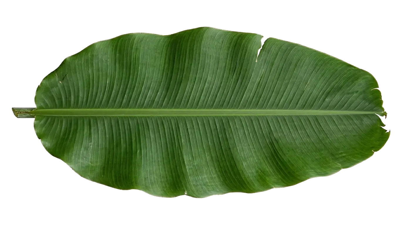 Hotel Vishali Leaf